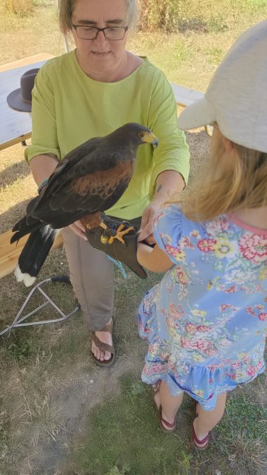 Falke Piri Piri